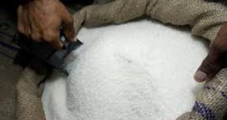 Средната цена на едро на бялата кристална захар се задържа на нивото от предходната седмица