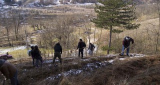 Студенти и горски служители залесяваха в района на Благоевград