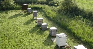 Над 1.6 млн. лв. повече субсидии са изплатени на пчеларите през 2009 г.