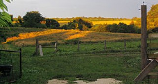 Близо 6300 евро струва хектар земя в Полша