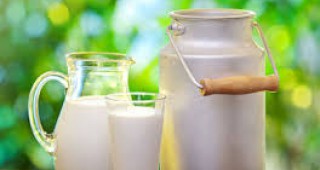 ДФЗ прилага схемата Договорни отношения в сектора на млякото