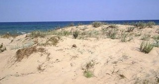 Държавата да защити дюните в Слънчев бряг
