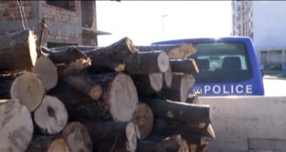 Горски инспектори от Бургас задържаха товарен автомобил с 40 куб. м. незаконна дървесина