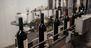 Ръст на винопроизводството в Германия