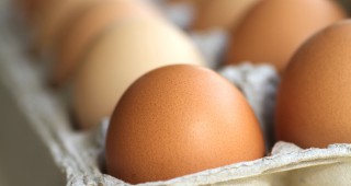 Средните цени на едро и на дребно на яйца за страната остават без промяна