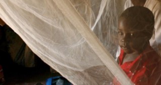 По данни на СЗО 90% от жертвите на маларията са в Африка