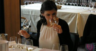 Световни топ експерти ще оценяват вината по време на Балканския винен конкурс и фестивал