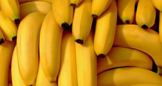 В Германия откриха кокаин в кашони с банани