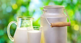 Цените на био млякото в Германия остават стабилни