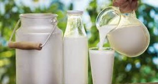Около 157 милиона тона мляко ще доставят европейските фермери тази година на млекопреработвателните компании
