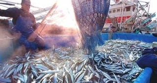 ЕС обяви война на незаконния риболов