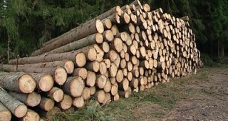 Инспектори от РДГ Пловдив установиха нарушения от частнопрактикуващи лесовъди