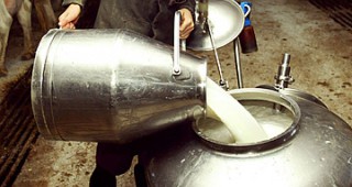 Подобряване на качеството на суровото мляко и възможности за подпомагане на млекопроизводителите по национални и европейски схеми