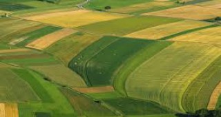 Австрия забранява отглеждането на ГМО