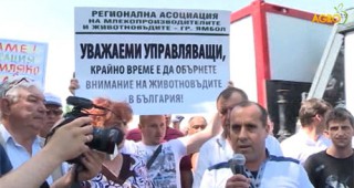 Отменя се протестът на животновъдите от Благоевградска област