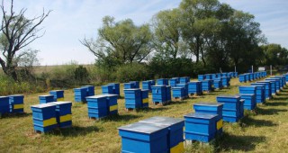 Фонд Земеделие отпуска още 100 000 лева за инвестиции по пчеларската програма