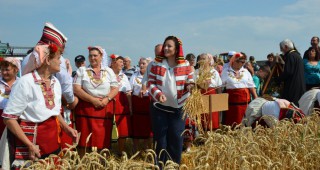 Десислава Танева: Очакваме добра реколта от 4,3 – 4,5 милиона тона пшеница