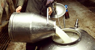 516 милиона литра мляко е постъпило в млекопреработвателните предприятия за 2014 г.