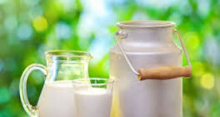 С близо 6% се е увеличил износът на млечни продукти от Европейския съюз