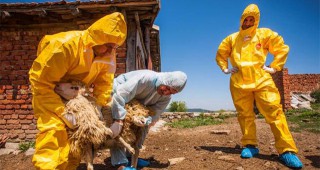 България провежда симулация на епидемия от шап