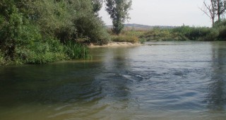 Водните количества на по-голямата част от наблюдаваните реки са около и над праговете за средни води