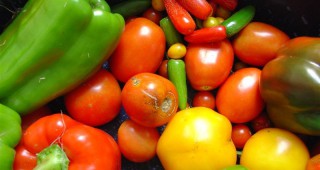 Спад в цените е отчетен при зеленчуците на едро през месец юни