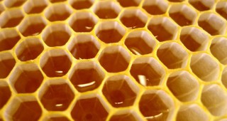 Близо пет хиляди пчелари искат помощ de minimis