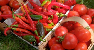 Фермерският пазар в Бургас отново събира производители на натурална и биологична продукция