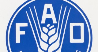 ОИСР и ФАО очакват спад на цените на аграрните суровини
