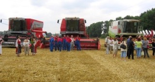 Производители искат над 350 лева за тон пшеница