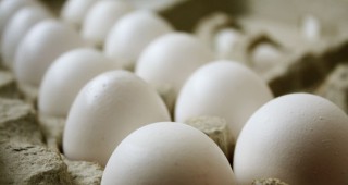 Средните цени на едро и на дребно на яйца за страната остават без промяна