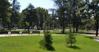 Община Казанлък с мащабна озеленителна дейност