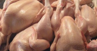 Конфискуваха 250 килограма пилешко месо с изтекъл срок на годност