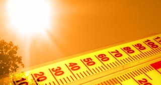 Жълт код за опасни жеги в 24 области на страната