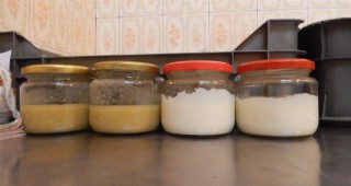 Положителен резултат за стафилококи в храна от детска млечна кухня в Перник