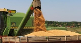 Нараства световното зърнопроизводство