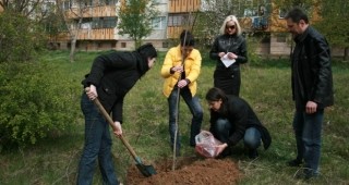 Започват поредица от акции за залесяване на Пловдив