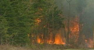 Над 20 горски служители гасят пожар в землището на село Сопово, община Бобошево