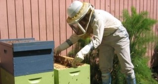 Ново пчеларско сдружение регистрирано в Смолян