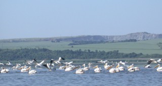 Природозащитна бригада Атанасовско езеро 2015