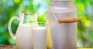 Не се очаква подобрение през следващите месеци на европейския млечен пазар