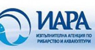 Инспектори на ИАРА заловиха водолази извършващи бракониерски улов на калкан