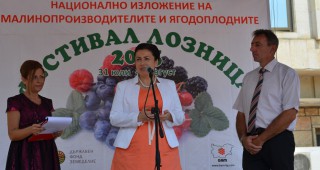 Министър Танева: Малинопроизводителите ще получат над 2,1 млн. лв. от кампанията по директни плащания