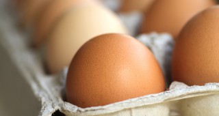 Със 7,1% са поскъпнали яйцата за консумация през юни 2015 г. спрямо предходния месец