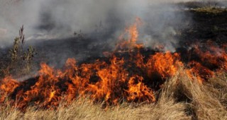 Пчелни кошери и барака изгоряха при пожар край Сандански