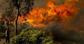 231 са горските пожари у нас от началото на 2015 г.