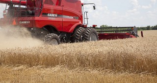 По-малко зърно за вътрешния пазар на Украйна