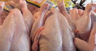 Производството на птиче месо в Полша е нараснало с над 1 и половина милиона тона