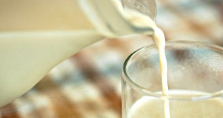 БАБХ стартира засилени проверки за нерегламентирана търговия с мляко и млечни продукти