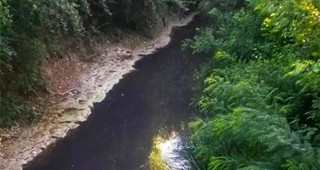 В РИОСВ – Шумен е постъпил сигнал за замърсяване на река Врана